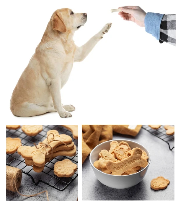 Rohes Fleisch Leckerli Hundeknochen gebacken